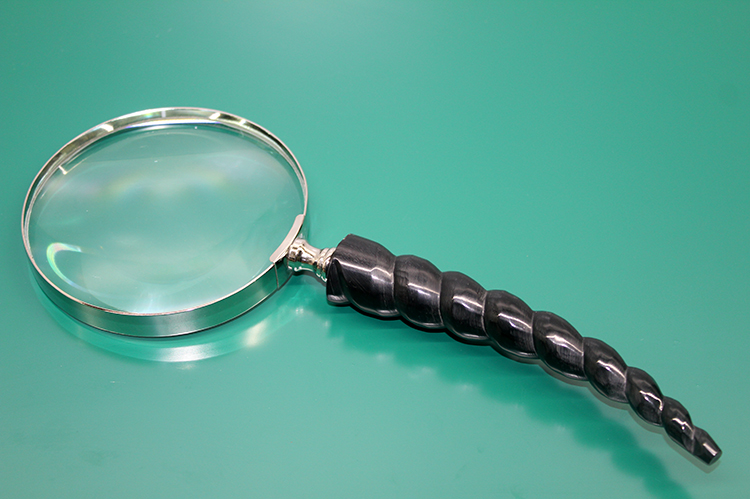 21375 Boynuz Pirinç Büyüteç Model 3 - Görsel 1