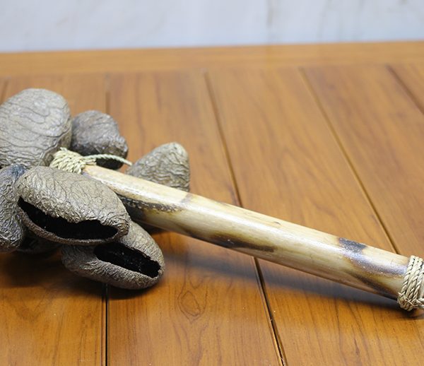 Coconat Sarkaçlı Marakas Model 1