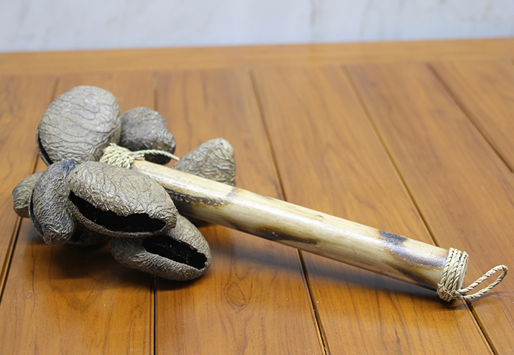 311220241 Coconat Sarkaçlı Marakas Model 1 - Görsel 1