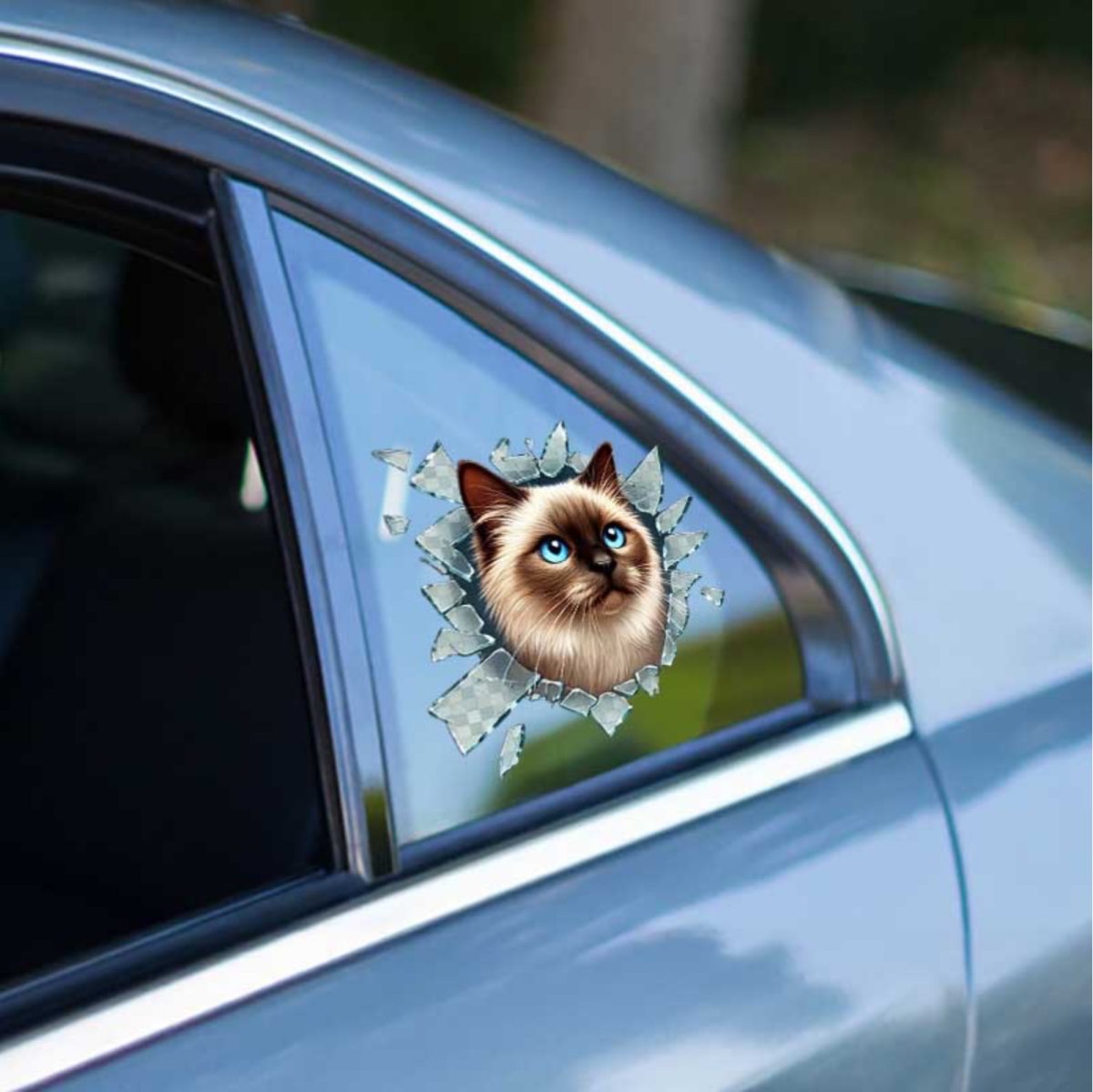 IMG_1939 Fulcar Siamesse Araç Stickerı - Görsel 1