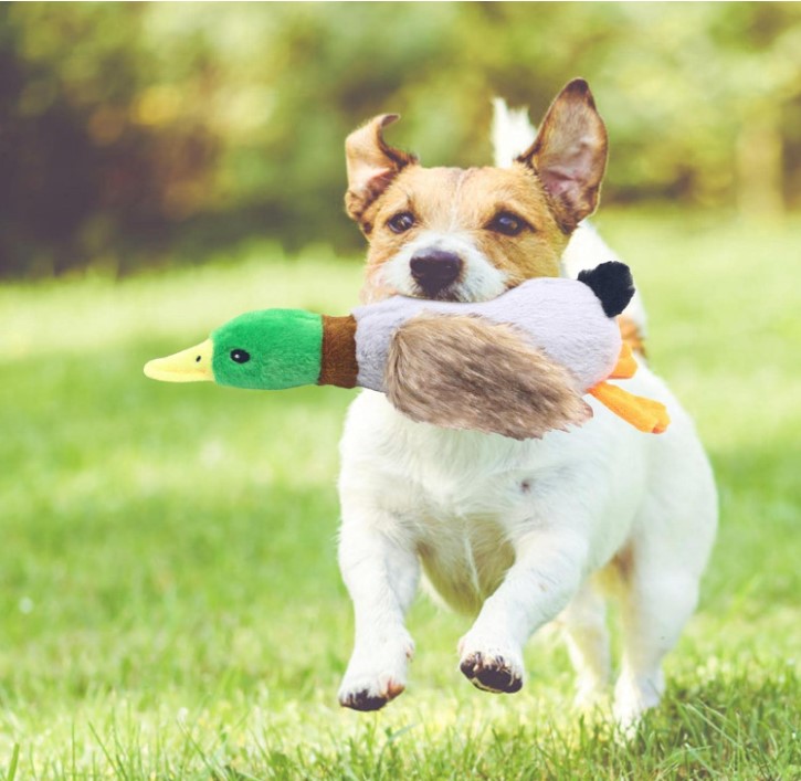 Screenshot_3-2 Sesli Ördek Şekilli Peluş Köpek Oyuncağı - Görsel 1