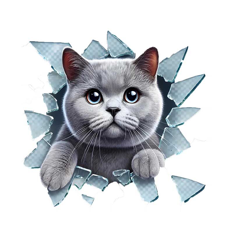 fulcar-sticker-2-british-cat-image-1 Fulcar British Araç Stickerı - Görsel 1